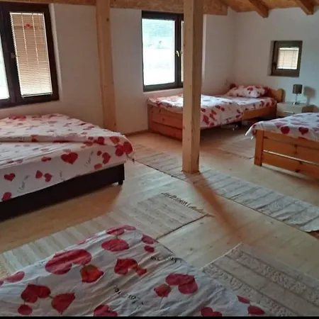 Apartman Djol *
